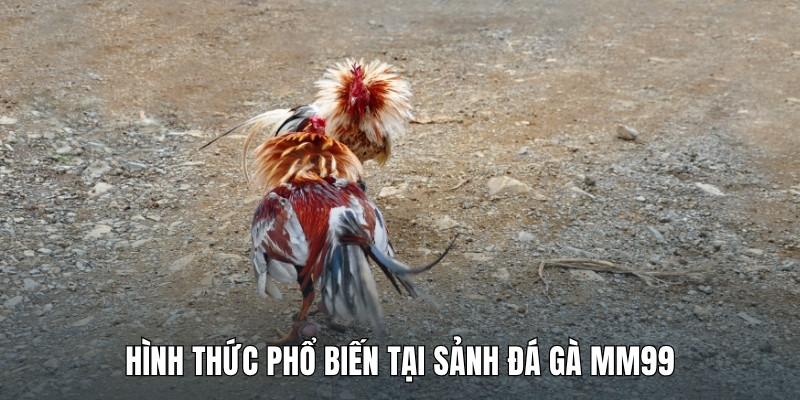 hinh-thuc-pho-bien-tai-sanh-da-ga-mm99